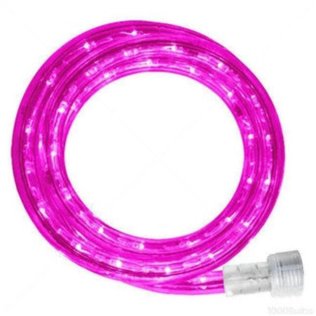 WINTERLAND Winterland C-ROPE-LED-PI-1-10-18 10 mm. Spool Of Pink LED Ropelight; 18 ft. C-ROPE-LED-PI-1-10-18